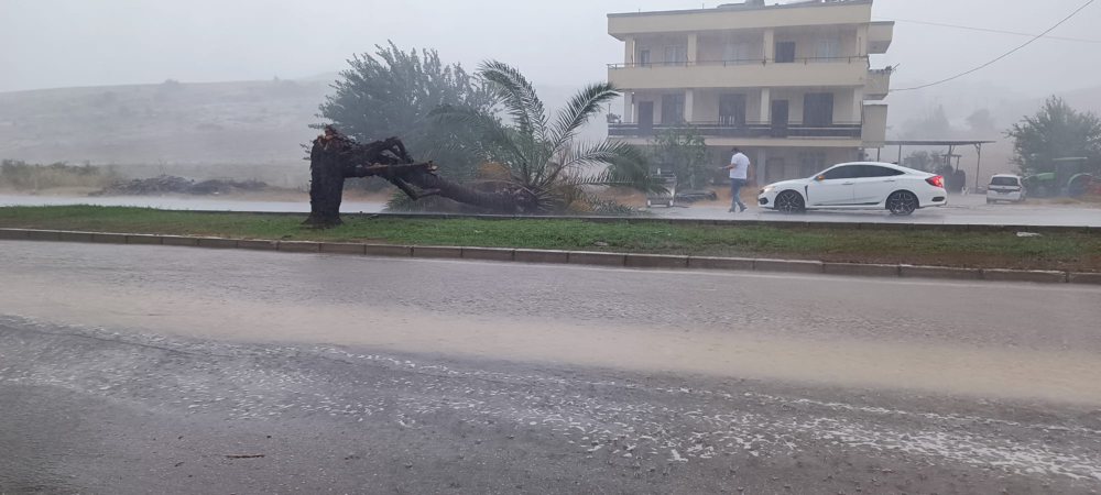 Adana’da ani sağanak ve rüzgar