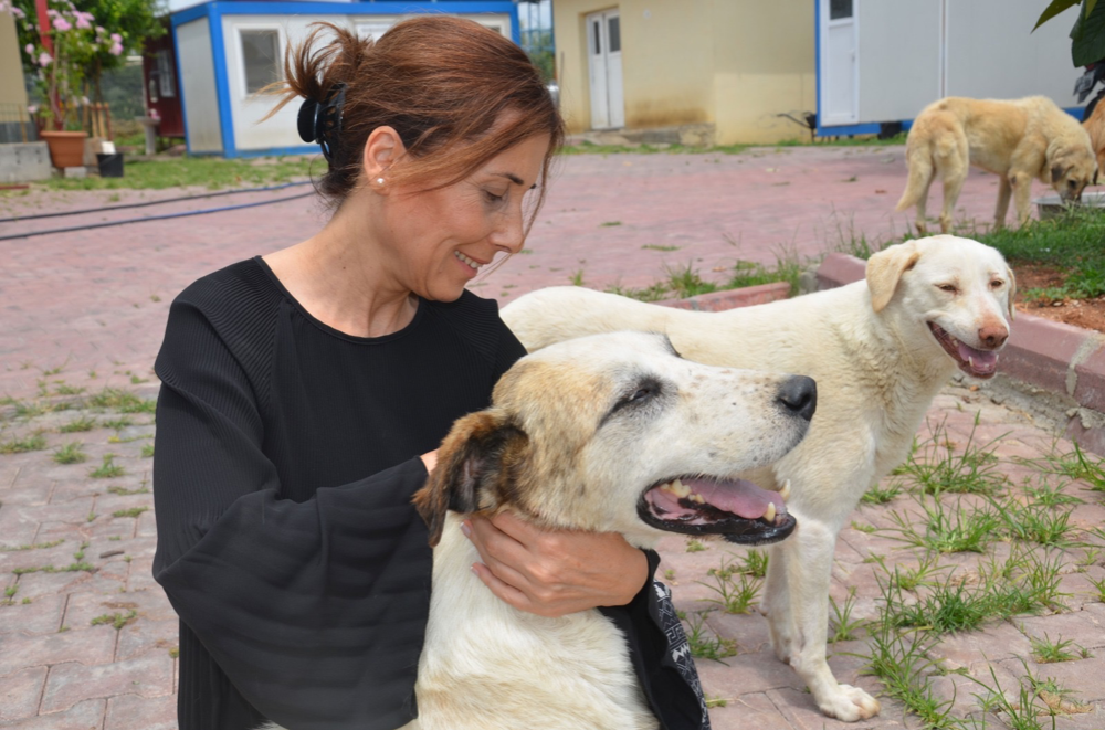 OYA TEKİN’DEN SOKAK HAYVANLARI YASASI AÇIKLAMASI