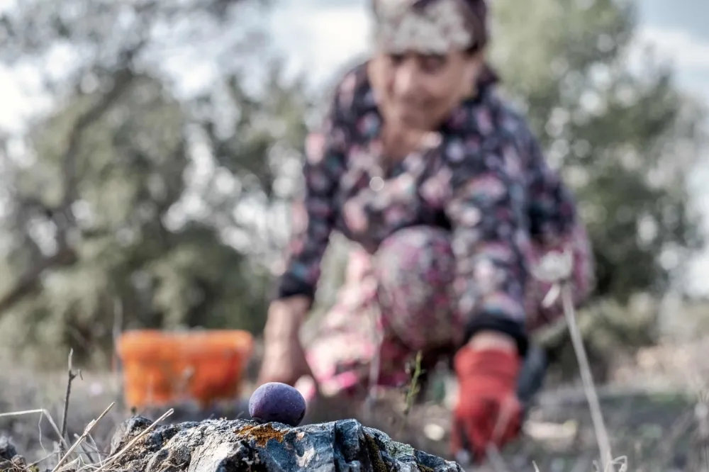 Kuraklığa ve Açlığa Büyük Adım Yasası Genel Kurul’da