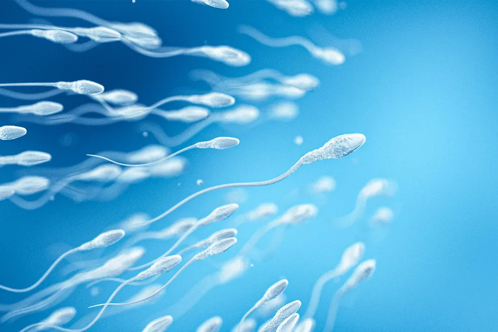 Uzmanı sperm sayısındaki düşüşte en büyük faktörü açıkladı!